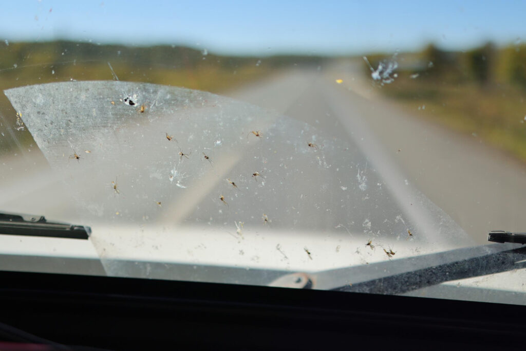 rv windshield repair